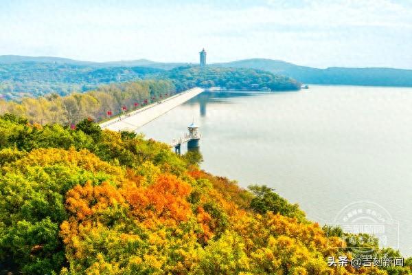 新发路观察｜一叶知心，一叶知城