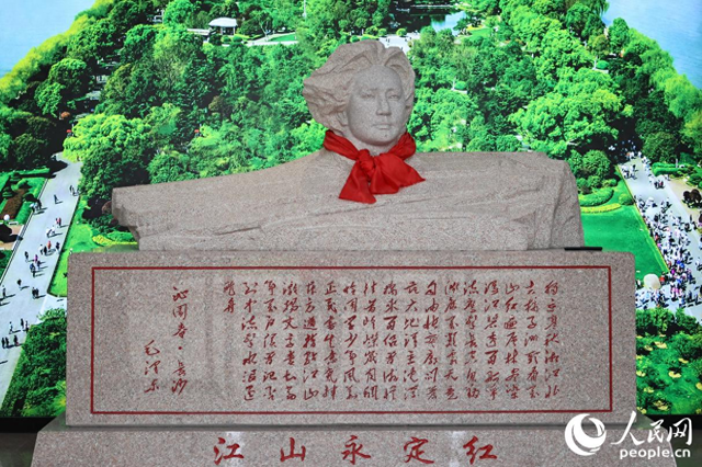 行进中国丨绿水青山里的“永定红”