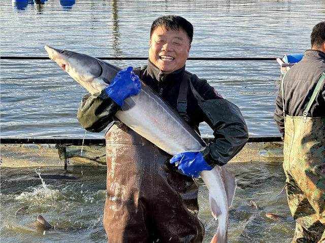 沈阳推出9条秋季乡村游精品线路，稻浪红枫、硕果肥蟹！