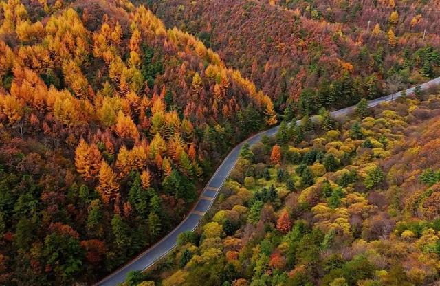 太洋公路已通车！去黄柏塬赏秋现在就出发！