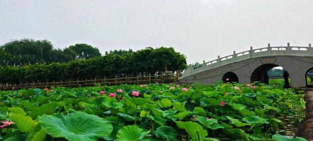 难老泉润稻荷香