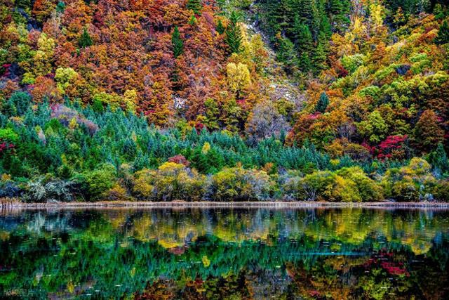 彩林观赏季，赏秋绝佳时，10月-12月适合去看的7处彩色山林