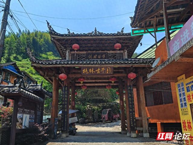 高清湖南丨镜头下的城步桃林苗寨：风景如旧，风情如初