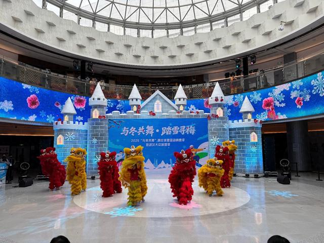 2025武汉大众冰雪季盛大启幕