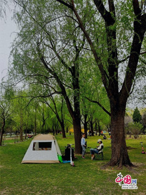 北京公园总数超过1100个 小众公园这样破圈