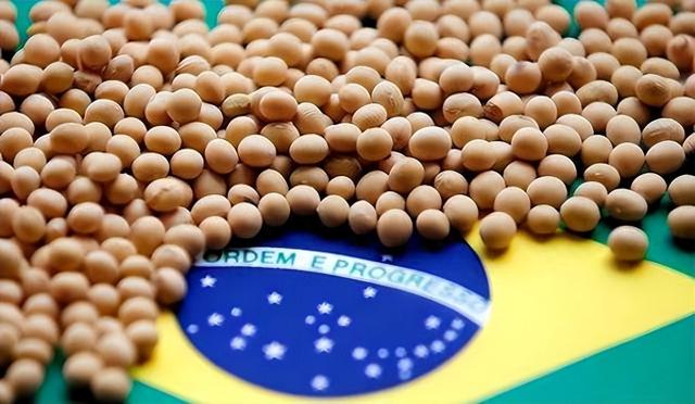 巴西大豆涨价79.9%？中国暂停采购，130万吨订单流向阿根廷