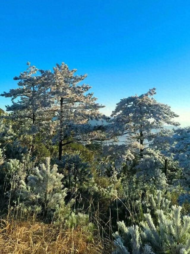 冬日雾凇惊艳再现仙游石谷，莆田多地霜冻预警中！天气回暖还得等