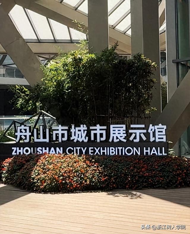 【暑期社会实践】浙江树人学院宸阳书院暑期实践团赴舟山实践调研