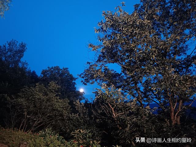 三清山到篁岭，一路上还有哪些好景致？