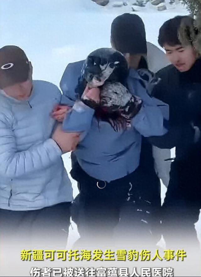 新疆可可托海宝石沟：雪豹咬伤滑雪游客，野生防护遇难题