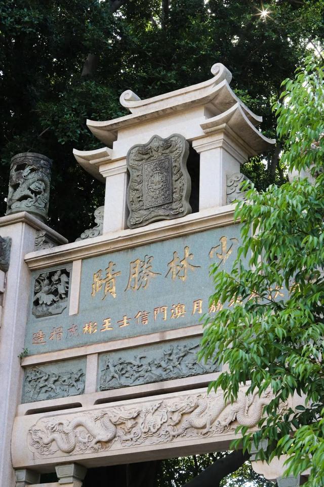 风裹武韵林间绕！南少林藏着鲜活的江湖梦