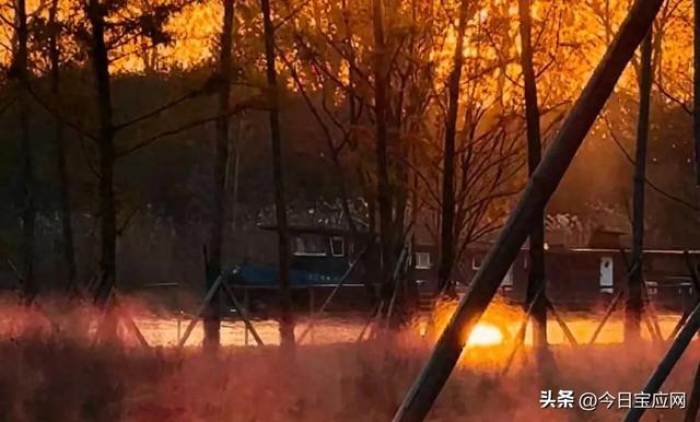宝应运河边又一打卡地：霞落蒹葭处，粉黛醉斜阳