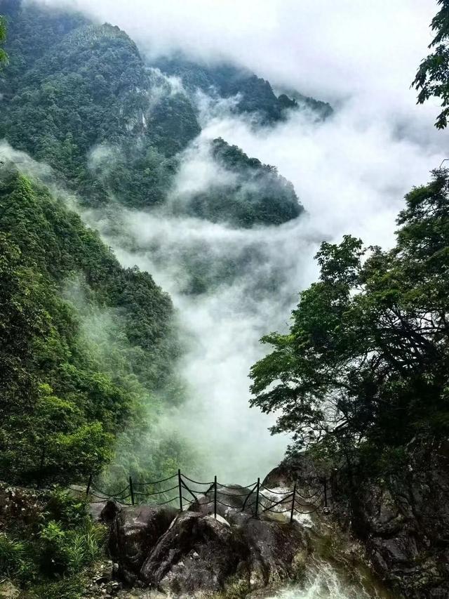 误入江南仙境！雨季的明月山直接封神！
