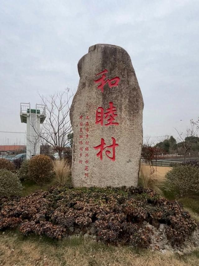 上海旅游村这么多，为什么偏偏它最成功？