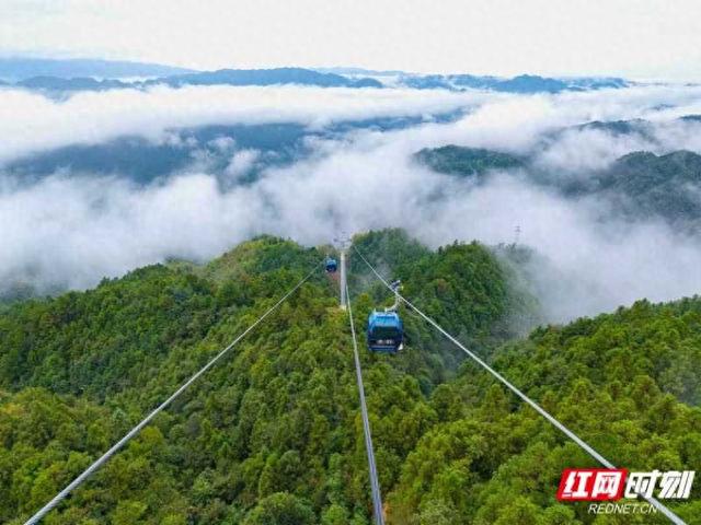 6天接待超8万人次！ 雪峰山索道点亮湖南文旅新版图