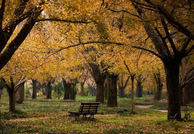 卷了一周的江浙沪白领，周末又去这个县城排队