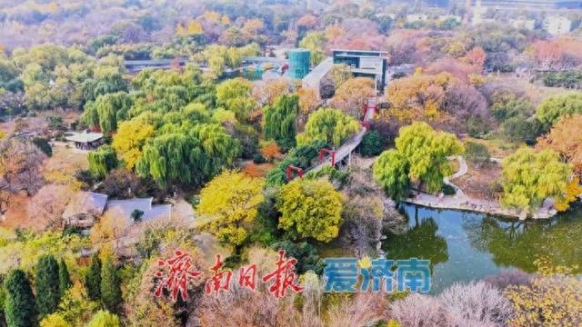 初冬，泉城公园开启“高饱和度”模式