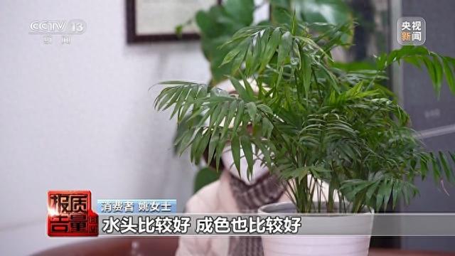 下载翡翠大师破解版中文（5888元翡翠成本只有20多元 警惕玉石直播间陷阱）