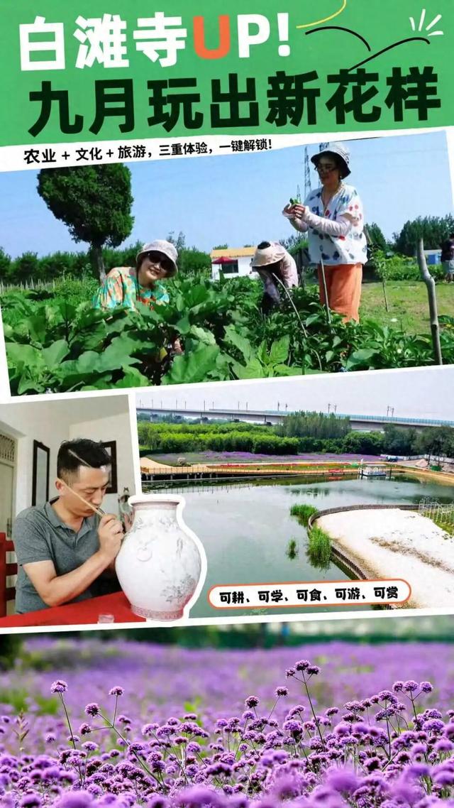 白滩寺“焕新”！九月玩出田园新花样