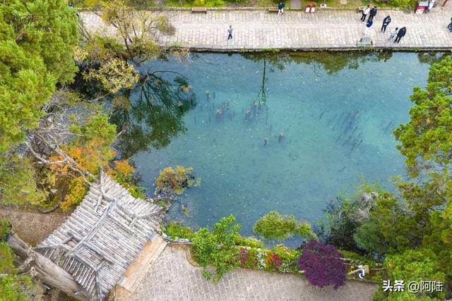 丽江的最美秋色九鼎龙潭，但位置隐秘，大部分游客都视而不见