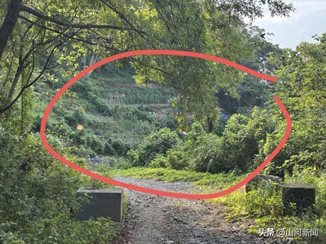 探访52岁女子误触氢氟酸致身亡事发地，丈夫：已在老家给妻子办丧事