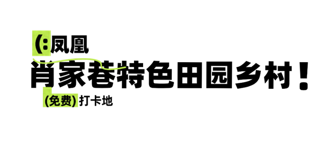 免费！景美！张家港这3处绝美打卡地藏不住了！