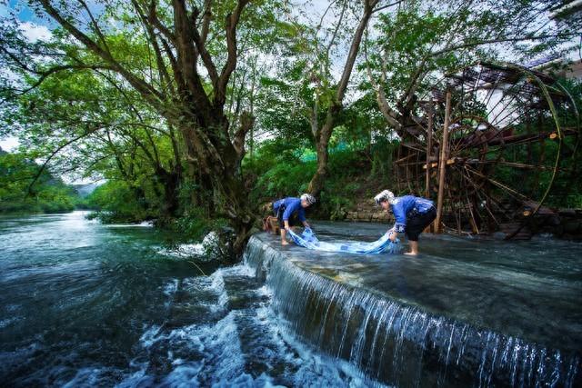 本以为新疆够美了，直到去了荔波，水上森林把翠绿叠成浪