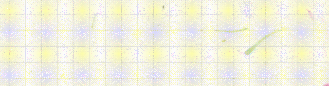 直到王伟莹“无奈坦言”，才知全红婵有多不简单，陈芋汐深受影响