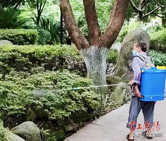 清除蚊虫孳生死角100余处，回雁峰景区扎实织密蚊媒防控网