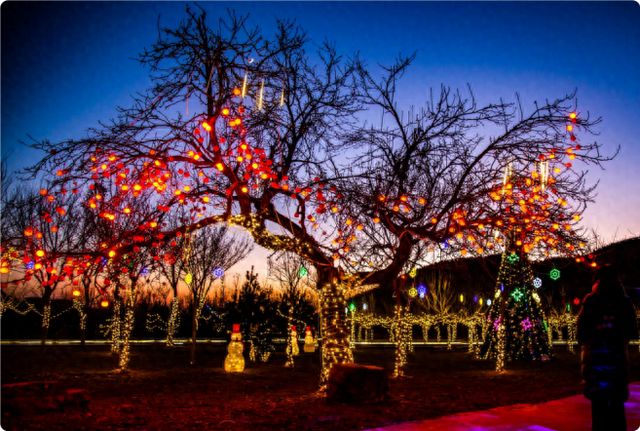 平谷井峪林下寻光 让我们赴一场生态与温情的双向奔赴
