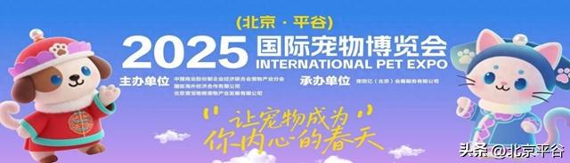 当萌宠邂逅桃花源 平谷区文旅消费券邀您共赴冬日之约