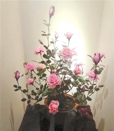 打卡花市社区博物馆 感受老北京味道