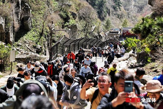 重阳登泰山 敬老暖意浓