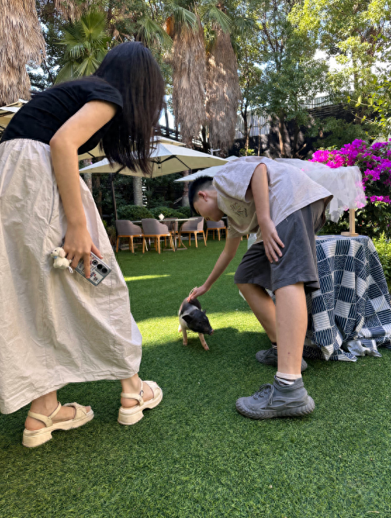 萌宠互动 + 花园美食！贵阳铂尔曼大酒店新场景点燃南明秋季文旅市场