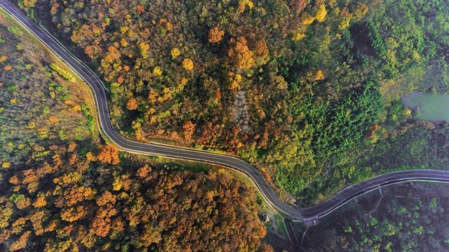 南京又一公园火了！高空栈道+枫林小径，被誉为南京秋景天花板