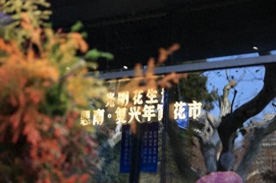 2026沪上年宵花市开逛！“花”式逛出新年味