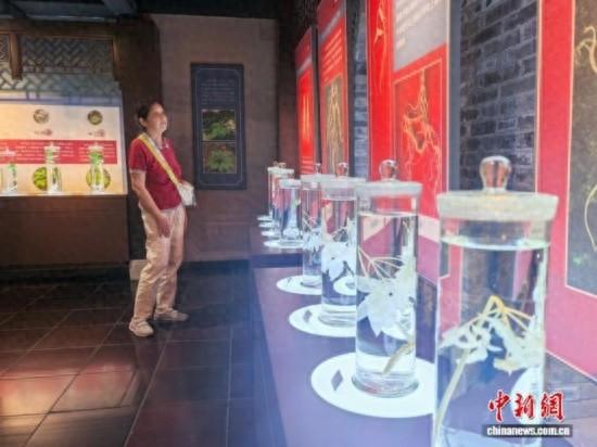 百年官参局飘药香，中医市集成吉林文旅新热点