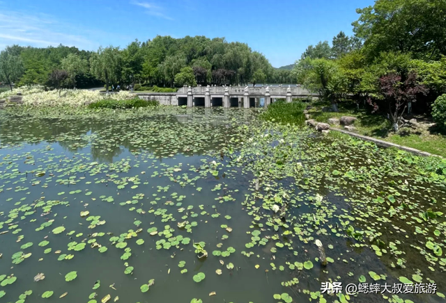 杭州“湖中天花板”亮了，风景如画，松弛喜人，2026免费来逛！