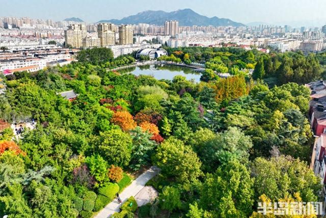 金秋斑斓 公园如画