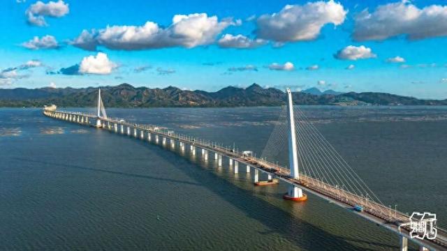 “宜居深圳”桥梁篇：科技与艺术的共生