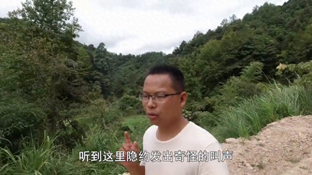 经过大山深处听到奇怪叫声，走前一看发现超大庞然大物，吓坏了