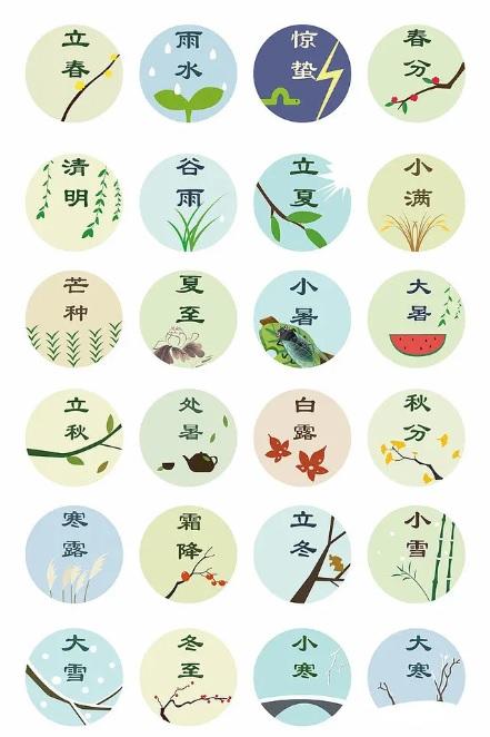 paints怎么读（初中英语单词打卡九上C）
