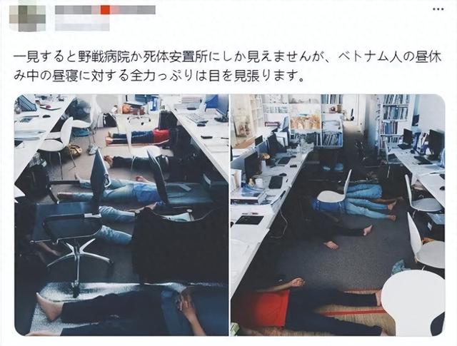 日本一老板曝光越南员工午睡现场！日本网友羡慕哭了…