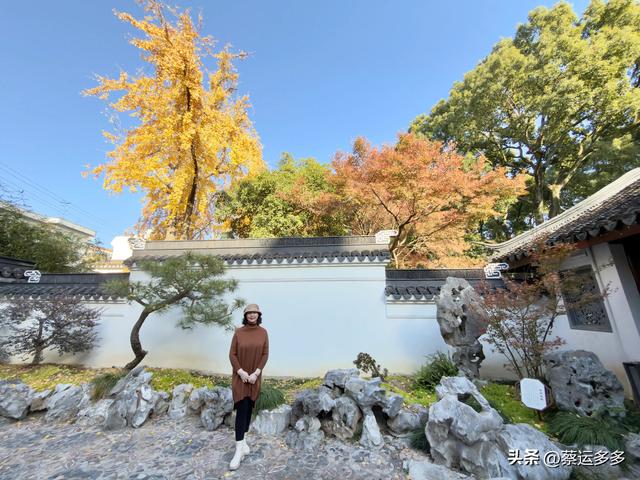 沪上园林古猗园已达颜值巅峰