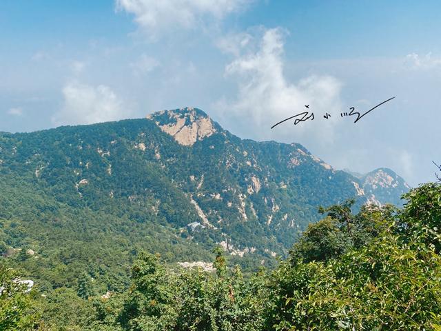 上海游客来山东游泰山，直呼：“五岳独尊”怎么没想象中那么高？