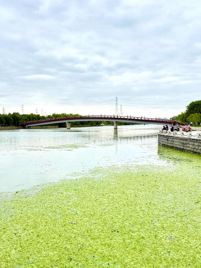 秋水板闸(大运河系列·淮安板闸遗址公园)