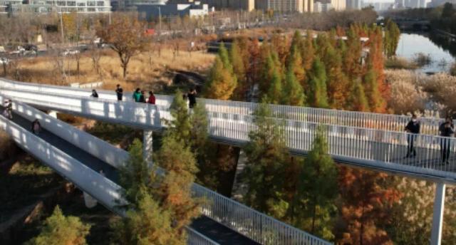 谁还没冲？郑州 “莫奈花园” 上新！