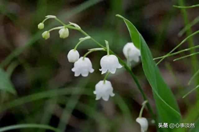 这辈子有你	，我很幸福，今生今世，只爱你