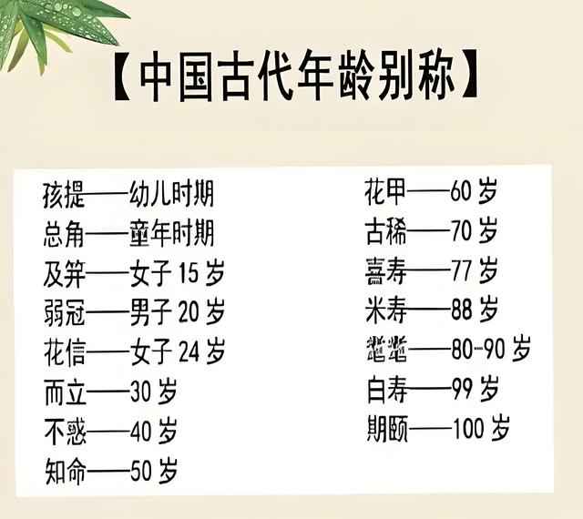 二十岁称什么之年（人生 0100岁的称谓）