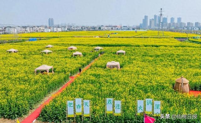 “花田火锅”体验过吗？杜湖油菜花海浪漫来袭